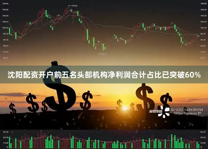 沈阳配资开户前五名头部机构净利润合计占比已突破60%