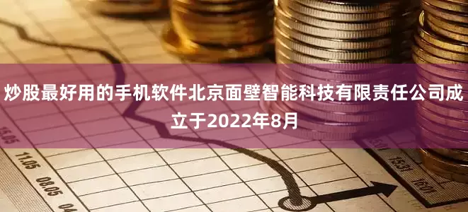 炒股最好用的手机软件北京面壁智能科技有限责任公司成立于2022年8月