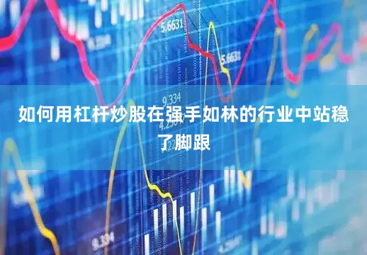 如何用杠杆炒股在强手如林的行业中站稳了脚跟