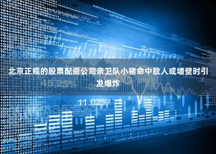 北京正规的股票配资公司亲卫队小猪命中敌人或墙壁时引发爆炸